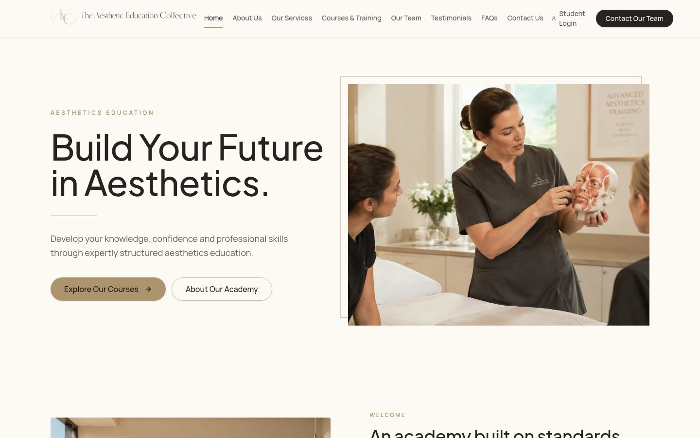 The Aesthetic Education Collective demo website homepage